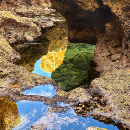 stst sound therapies